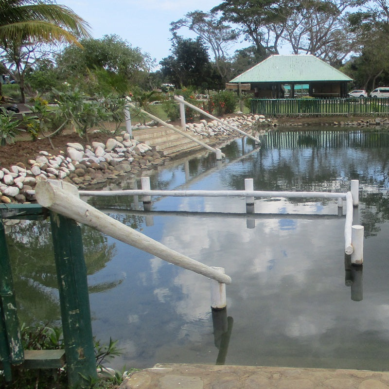 Jungle Safari, Sabeto Waterfalls, and Mud Pool Experience