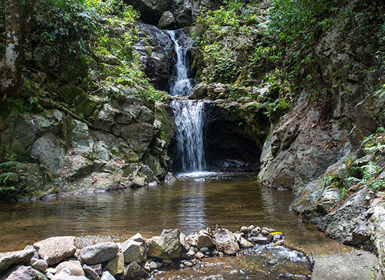 Jungle Safari, Sabeto Waterfalls, and Mud Pool Experience