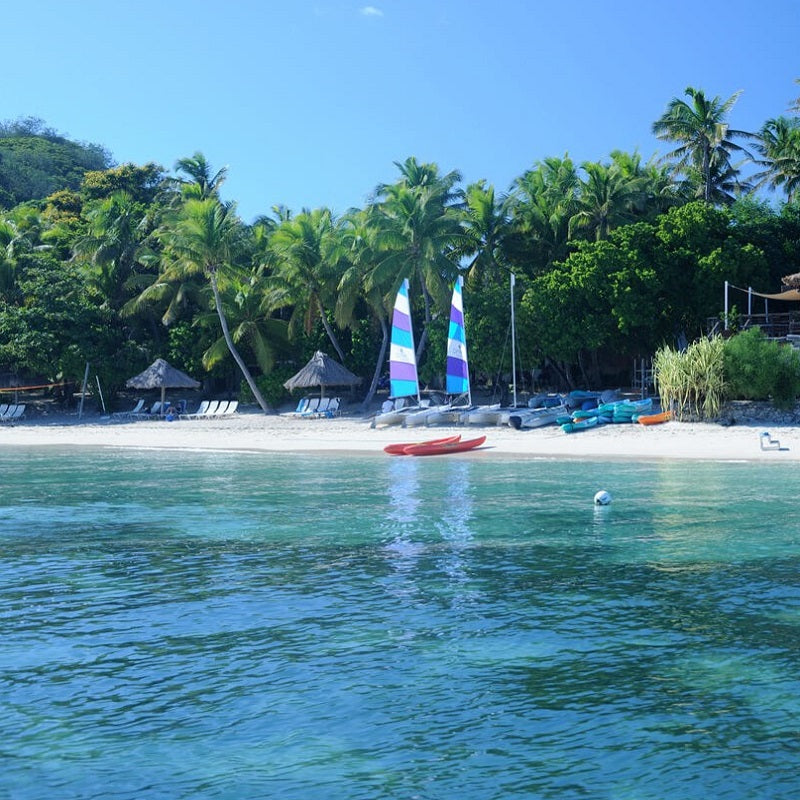 Castaway Island Resort  Day Cruise