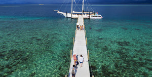 Tivua Island Day Cruise