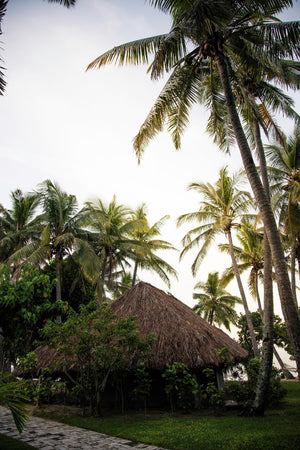 Castaway Island Resort  Day Cruise
